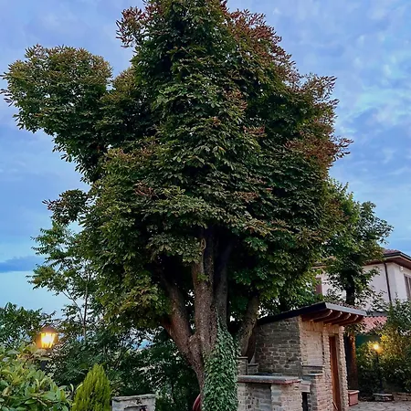 L'ippocastano Monteghellino